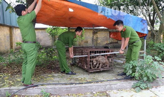 Lực lượng chức năng "áp tải" đàn chó dữ cả gia đình bà Lê Thị A về đồn công an huyện Kim Động. Ảnh: Hà Phương.
