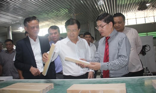 Phó Thủ tướng Trịnh Đình Dũng tham quan tại Công ty cổ phần kỹ nghệ gỗ Tiến Đạt.