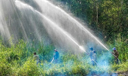 Diễn tâph phòng chống cháy rừng mùa khô 2019 tại Cà Mau