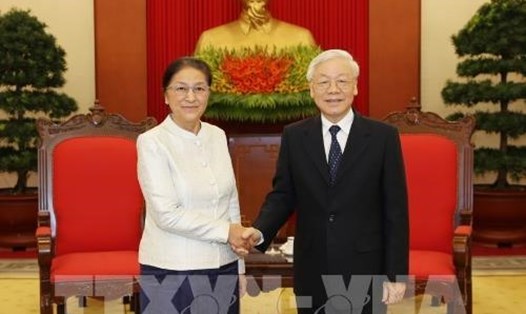 Tổng Bí thư, Chủ tịch Nước Nguyễn Phú Trọng tiếp Chủ tịch Quốc hội Lào Pany Yathotou thăm và làm việc tại Việt Nam. Ảnh: TTXVN. 