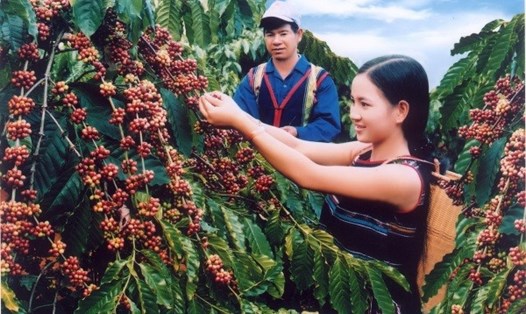 Lễ hội cà phê Buôn Ma Thuột sẽ được diễn ra trong tháng 3.2019.