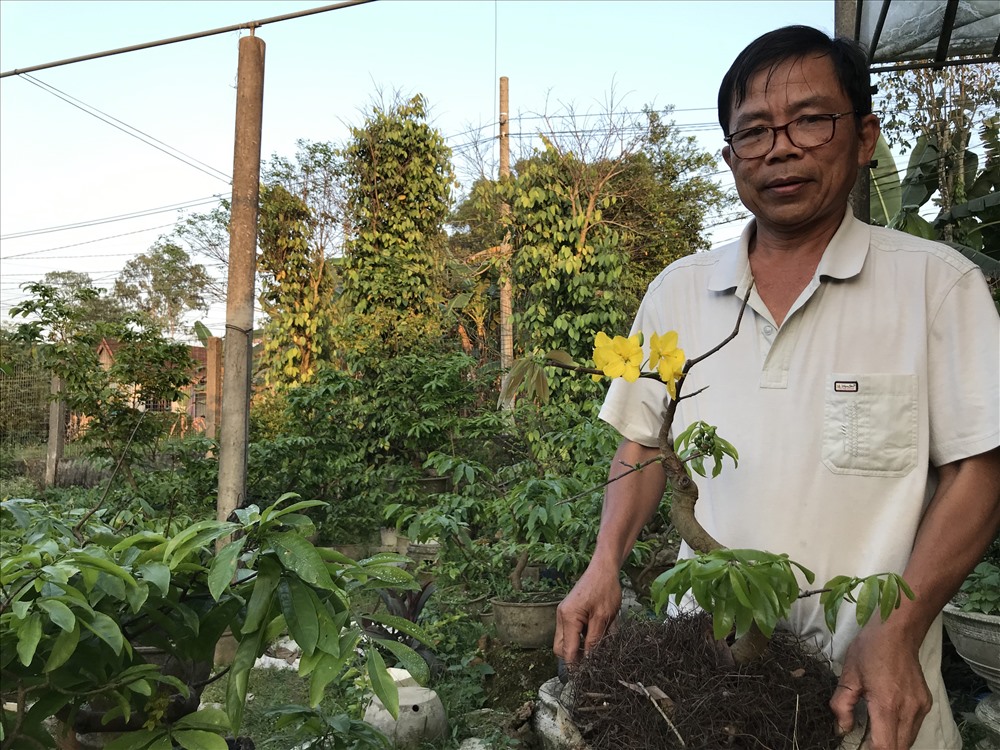 Ông Nguyễn Đình Lam và chậu "Quảng hương mộc mai". Ảnh: H.V.M