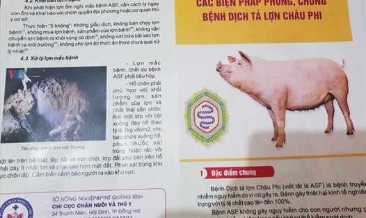 Tờ rơi về nhận biết và cách phòng chống bệnh dịch tả lợn Châu Phi do Sở NN&PTNT tỉnh Quảng Bình phát hành sáng 7.3. Ảnh: P.V