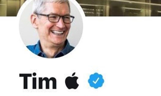 CEO Apple đổi tên trên Twitter. Ảnh: USA Today. 