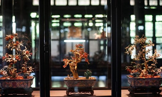 3 chậu cành vàng lá ngọc đang được trưng bày ở Bảo tàng Cổ vật Cung đình Huế.