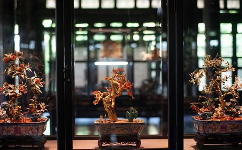 3 chậu cành vàng lá ngọc đang được trưng bày ở Bảo tàng Cổ vật Cung đình Huế.
