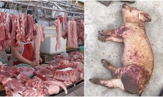 Mách bà nội trợ chọn thịt lợn an toàn khi dịch tả lợn Châu Phi lan rộng