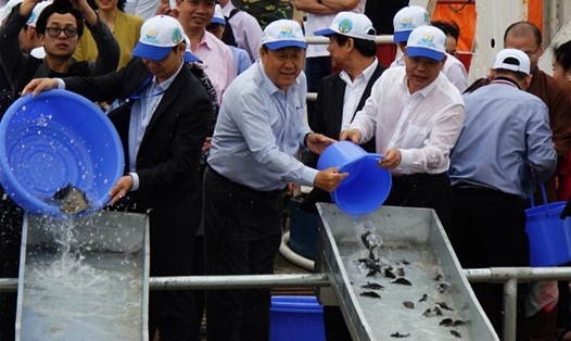 Lãnh đạo Bộ NN&PTNT;  tỉnh Quảng Ninh và đại diện Bộ Nông nghiệp nông thôn Trung Quốc cùng nhau thả cá giống về biển. Ảnh: Nguyễn Dương