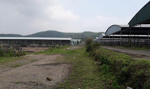 Chuồng trại bỏ hoang ở Dự án chăn nuôi bò của Cty CP Chăn nuôi Bình Hà. Ảnh: TRẦN TUẤN