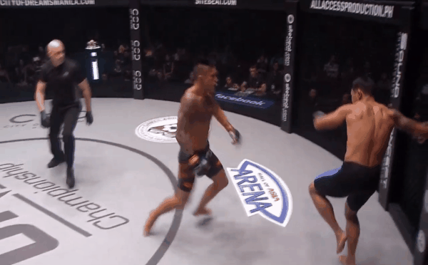 Trận đấu kết thúc với phần thắng thuộc về võ sỹ gốc Việt ngay trong hiệp đấu thứ hai bằng cú đá KO xuất thần.  