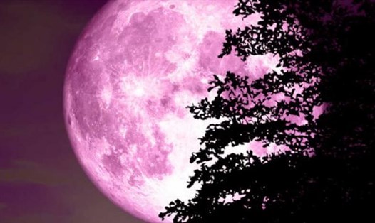 Hiện tượng mặt trăng hồng được xem là hiện tượng thiên văn độc đáo.