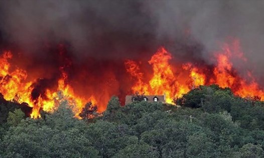 Nắng nóng trên diện rộng và khô hanh đã đẩy nguy cơ cháy rừng lên cấp độ cao. Trong 5 ngày đã xảy ra 45 vụ cháy rừng. (Ảnh minh họa)