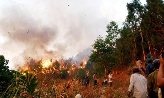 Nắng nóng trên diện rộng làm tăng nguy cơ cháy rừng. (Ảnh minh họa)