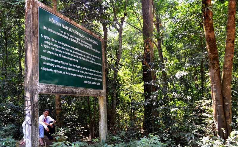 Một góc xanh của Vườn Quốc gia Phú Quốc. Ảnh: Lục Tùng