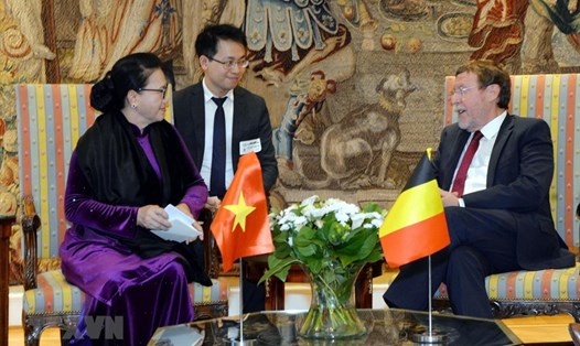 Chủ tịch Quốc hội Nguyễn Thị Kim Ngân hội kiến với Chủ tịch Hạ viện Bỉ Siegfried Bracke. Ảnh: TTXVN