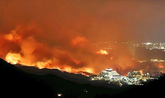 Hàn Quốc phát cảnh báo cấp cao nhất với vụ cháy rừng ở tỉnh Gangwon. Ảnh: Yonhap. 