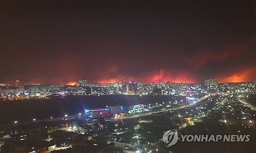 Đường chân trời rực sáng khi vụ cháy lan tới thành phố Sokcho. Ảnh: Yonhap. 