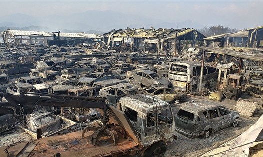 Cả bãi đậu ô tô bị thiêu rụi trong vụ cháy rừng. Ảnh: AFP