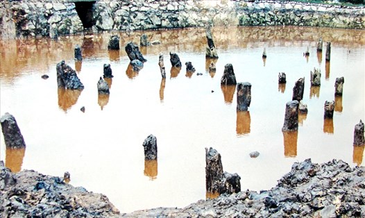 Bãi cọc cổ của trận thủy chiến Bạch Đằng năm 1288 được tìm thấy đầu tiên ở Yên Giang năm 1958