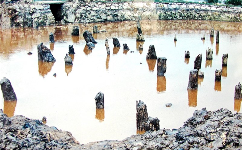 Bãi cọc cổ của trận thủy chiến Bạch Đằng năm 1288 được tìm thấy đầu tiên ở Yên Giang năm 1958