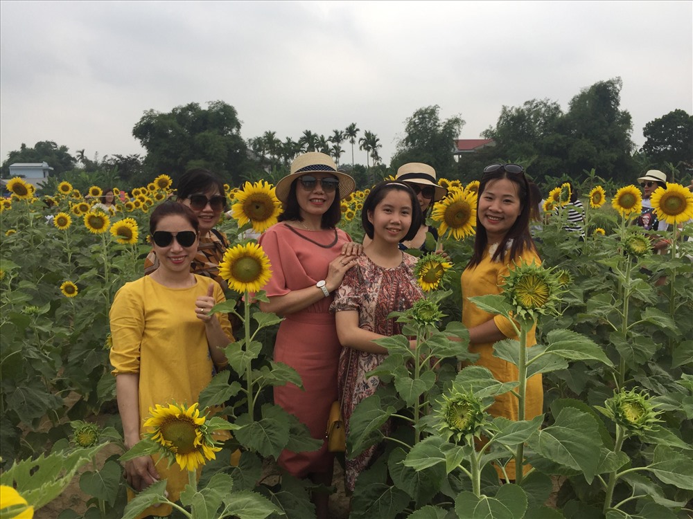 Cách trung tâm thành phố chưa đến 5km. Nơi đây đang trở thành địa điểm "hot", thu hút được sự chú ý rất nhiều người. Ảnh: Viễn Chinh.