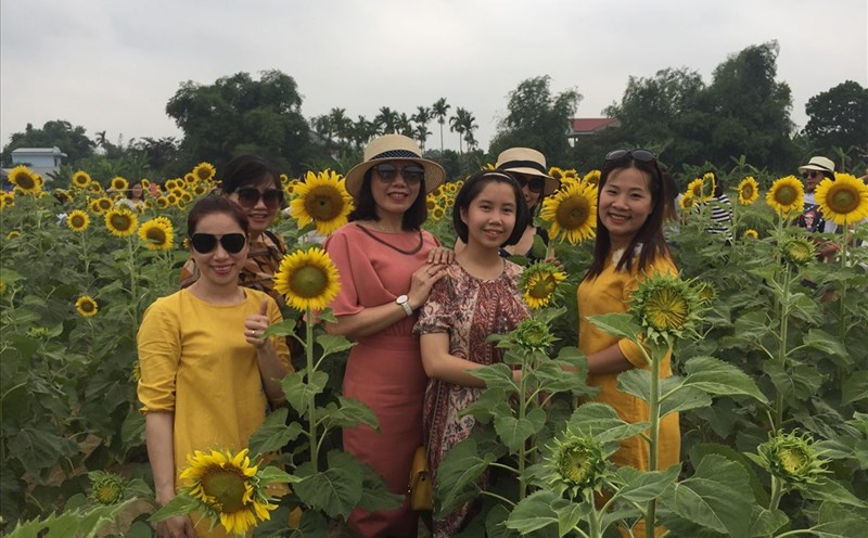 Cách trung tâm thành phố chưa đến 5km. Nơi đây đang trở thành địa điểm "hot", thu hút được sự chú ý rất nhiều người. Ảnh: Viễn Chinh.