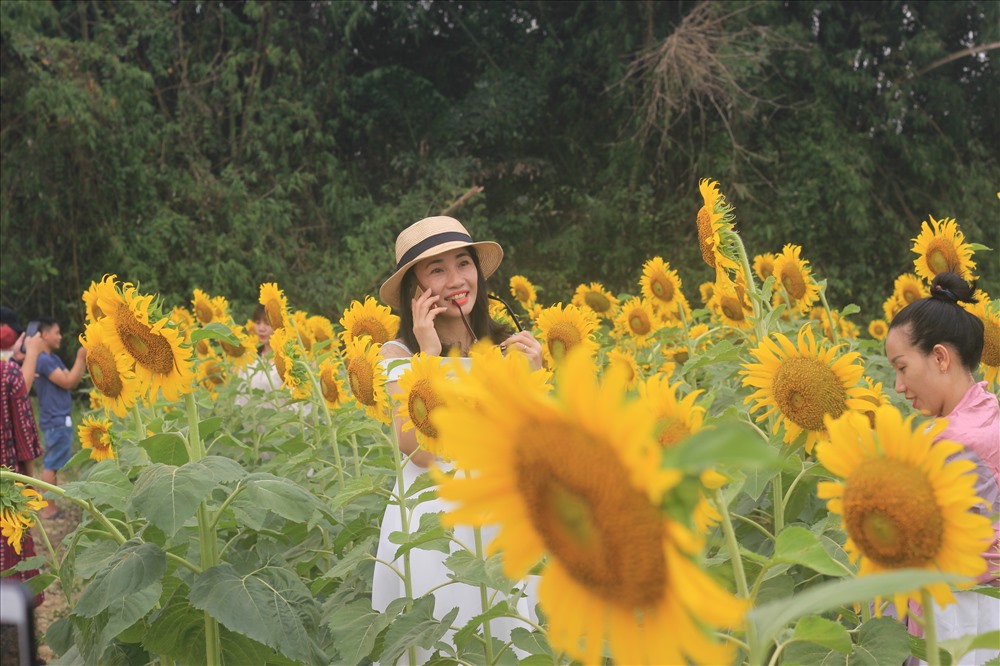 Từ sáng sớm đã có hơn hàng trăm người ghé đến đây để chek in kiếm cho mình những bức ảnh đẹp. Ảnh: Viễn Chinh.