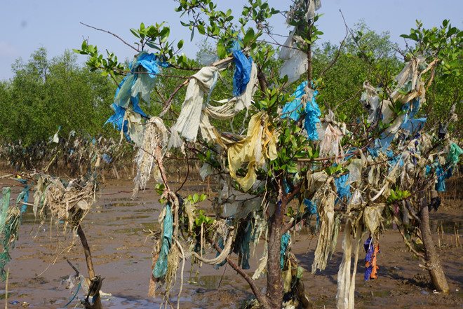 Bao bì ni-long dùng một lần đang gây ra hiểm họa với môi trường. Ảnh: FB Thôi đừng Nylon.