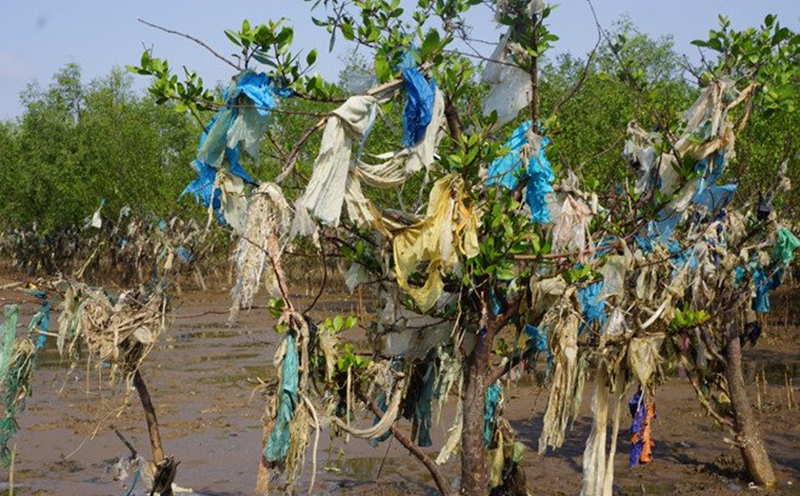 Bao bì ni-long dùng một lần đang gây ra hiểm họa với môi trường. Ảnh: FB Thôi đừng Nylon.