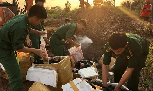 Biên phòng Cửa khẩu Quốc tế Lao Bảo tiêu hủy số thịt gân gà. Ảnh: HT