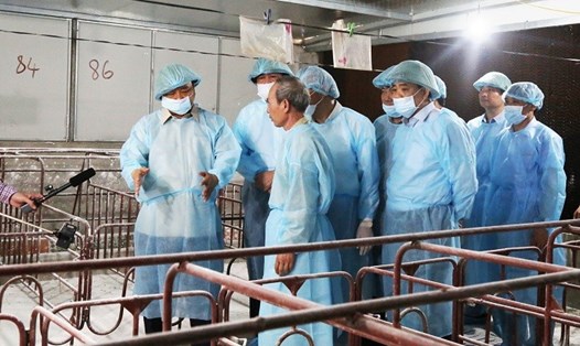 Thủ tướng Chính phủ Nguyễn Xuân Phúc kiểm tra công tác phòng, chống dịch tả lợn Châu Phi tại huyện Đông Anh (Hà Nội).