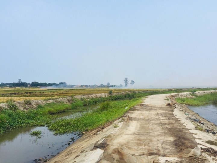 "Làng" trơ trọi sau mùa gặt. Ảnh: H.V.C.