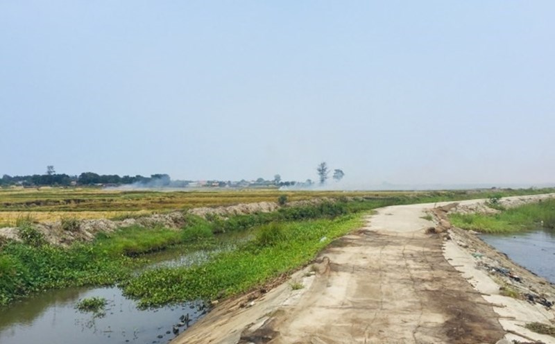 "Làng" trơ trọi sau mùa gặt. Ảnh: H.V.C.