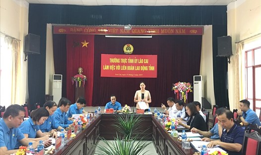 Đồng chí Hà Thị Nga - Phó Bí thư Thường trực Tỉnh ủy Lào Cai - phát biểu chỉ đạo tại buổi làm việc.