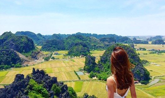 Ngắm mùa vàng trên cao ở Vạn lý trường thành Việt Nam