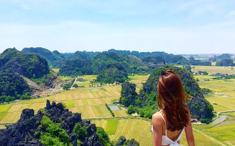 Ngắm mùa vàng trên cao ở Vạn lý trường thành Việt Nam