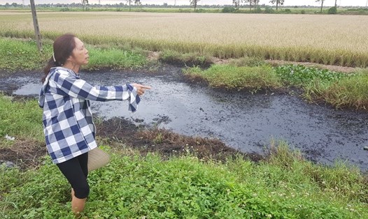 Mương nước bị đổ hóa chất độc hại tại huyện Vĩnh Bảo