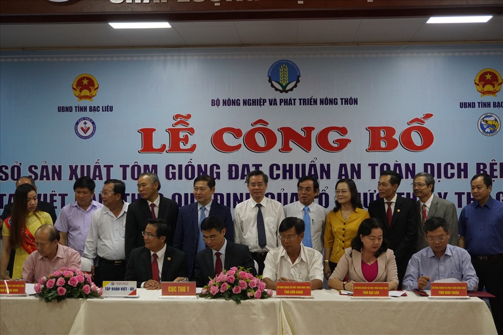 Tôm giống Việt Úc được công nhận an toàn dịch bệnh (ảnh Nhật Hồ)