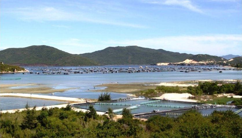 Đất đặc khu Bắc Vân Phong được giao dịch trở lại. Ảnh Internet