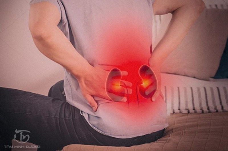 Thận yếu có liên quan đến đau lưng không? Tại sao?
