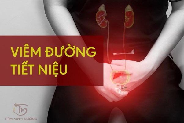 Viêm đường tiết niệu: Nguyên nhân, triệu chứng, cách chữa ở nam và nữ