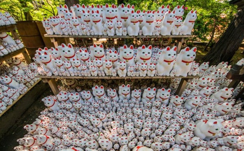 Hàng ngàn chú mèo vẫy tay ở đền Gotokuji. Ảnh: CNN