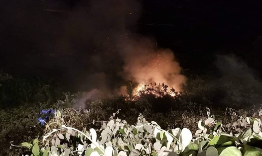 Vụ cháy rừng ở Sơn Trà đêm 10.6. Ảnh: H.Vinh