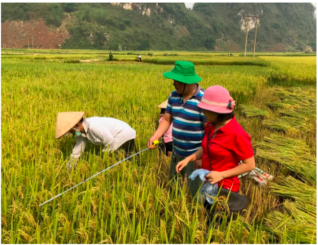 Ảnh minh hoạ: H.P