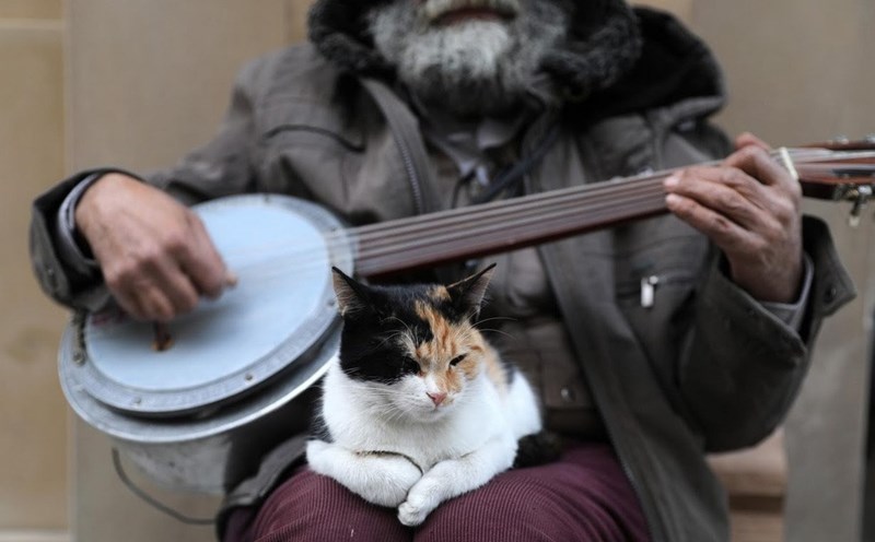 Những người dân nơi đây coi mèo như một phần không thể thiếu của cuộc sống. Ảnh: Reuters
