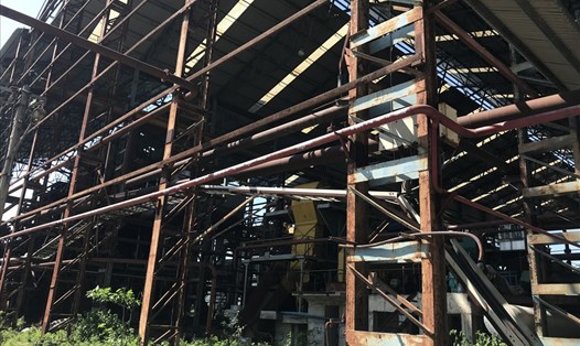 Cảnh hoang tàn, đổ nát của Nhà máy Đường Bình Định. Ảnh XN