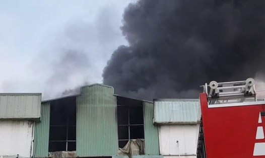 Hỏa hoạn xảy ra tại một công ty nằm trong khu công nghiệp ở Bình Dương.
