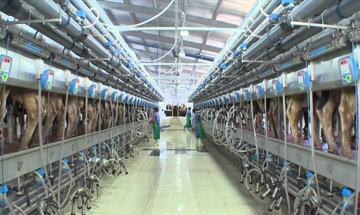 Danh sách các DN Việt Nam đủ năng lực XK sữa sẽ được gửi cho Trung Quốc vào tháng 8.2019. (Ảnh minh họa),
