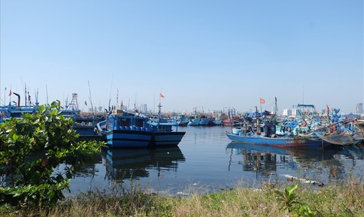 Một góc âu thuyền Thọ Quang, TP Đà Nẵng. ảnh: H.Vinh