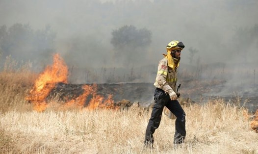 Cháy rừng ở Catalonia. Ảnh: AFP.